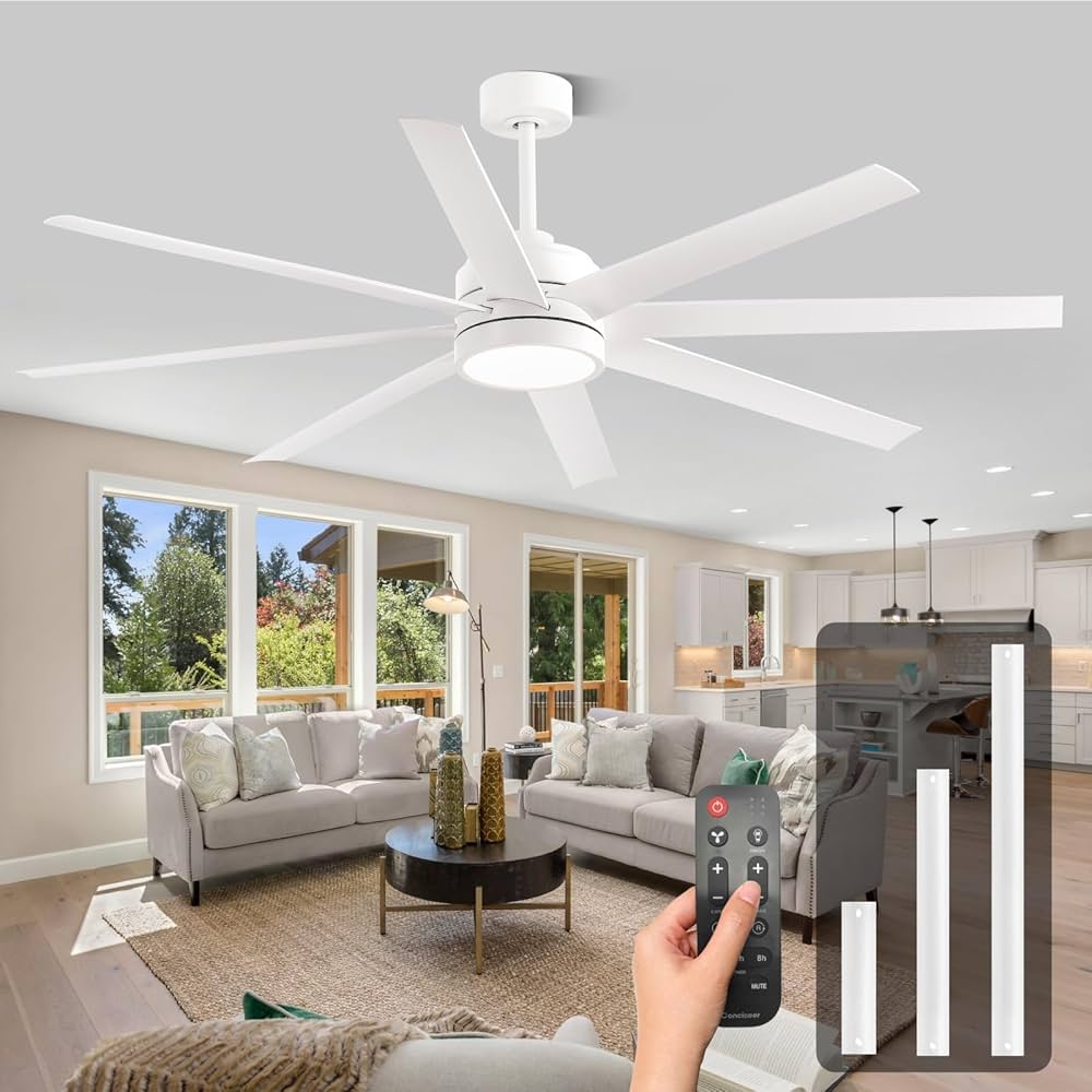 Ceiling Fan Installation